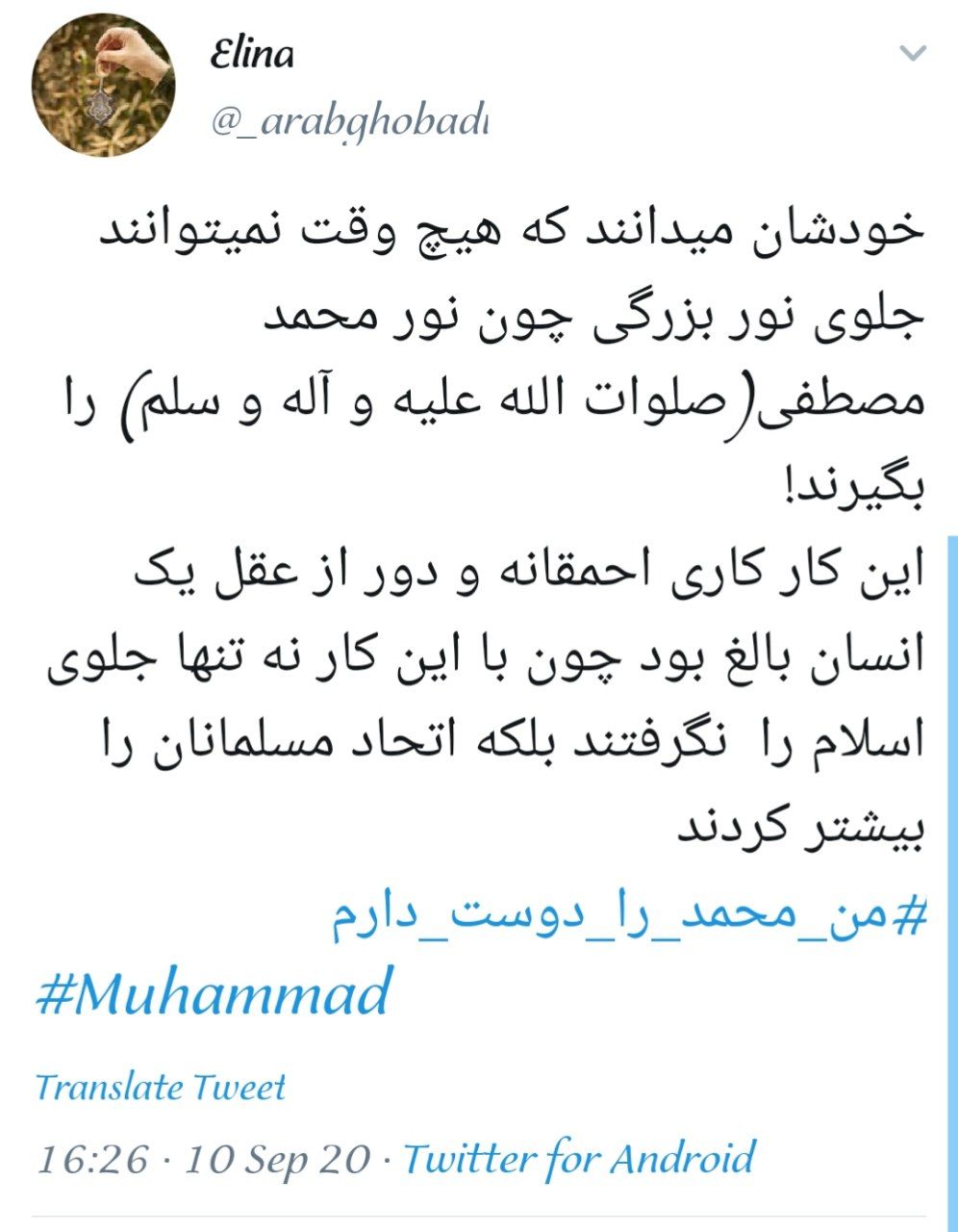 پویش همگانی من محمد را دوست دارم پویش همگانی من محمد را دوست دارم