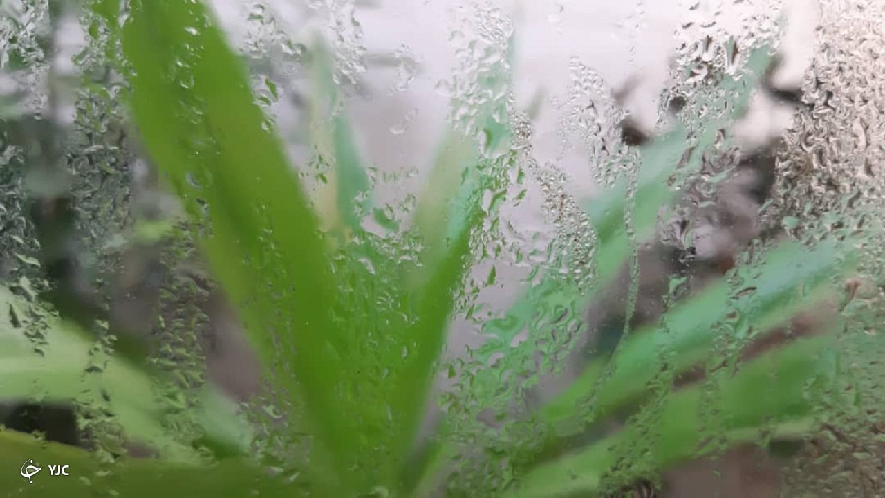 آرامش نسبی جو و دریا در بوشهر