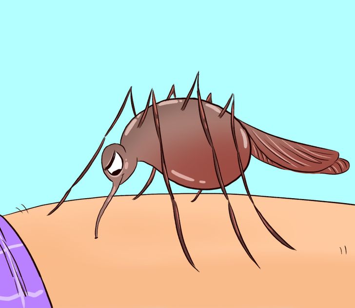 نیش پشه دقیقاً با بدن مان چکار می&zwnj;کند؟ + راهکار