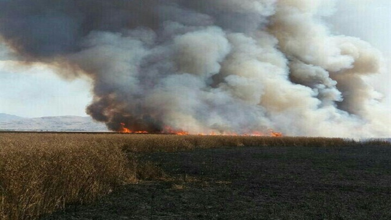 آتش گریبان تالاب میانگران ایذه را رها کرد