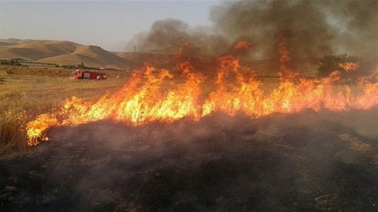 ۲۰ هکتار از مراتع طبیعی ارتفاعات روستای زعفرانیه دهلران طعمه حریق شد