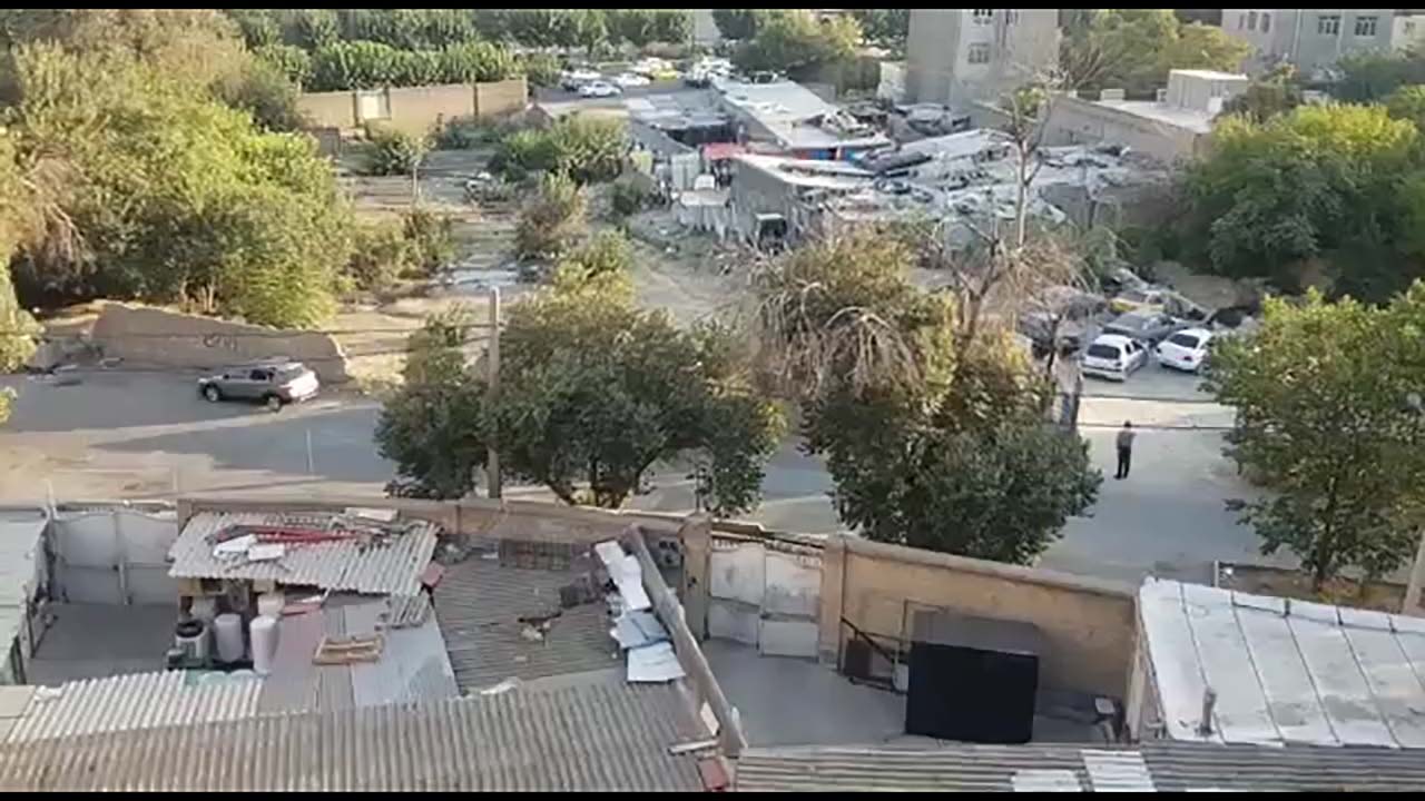تبدیل شدن یک کوچه باغ در صادقیه به محل کارگاه‌های غیرمجاز و جولانگاه سگ‌های ولگرد + فیلم