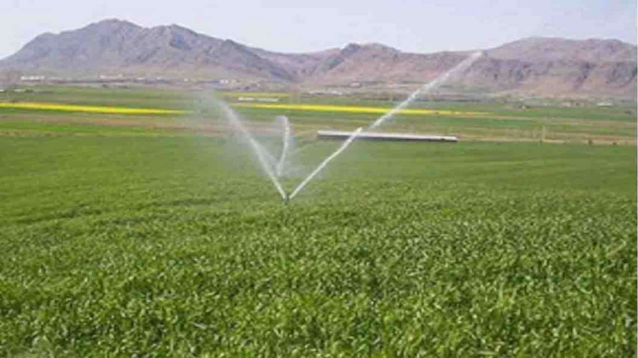 پرداخت ۷ میلیارد تومان تسهیلات برای طرح‌ های کشاورزی در خراسان جنوبی