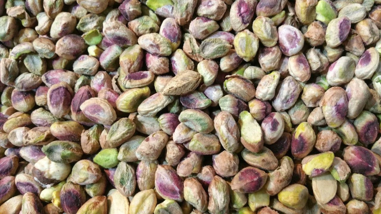 فرآوری بیش از ۵ هزار تن پسته در قائن