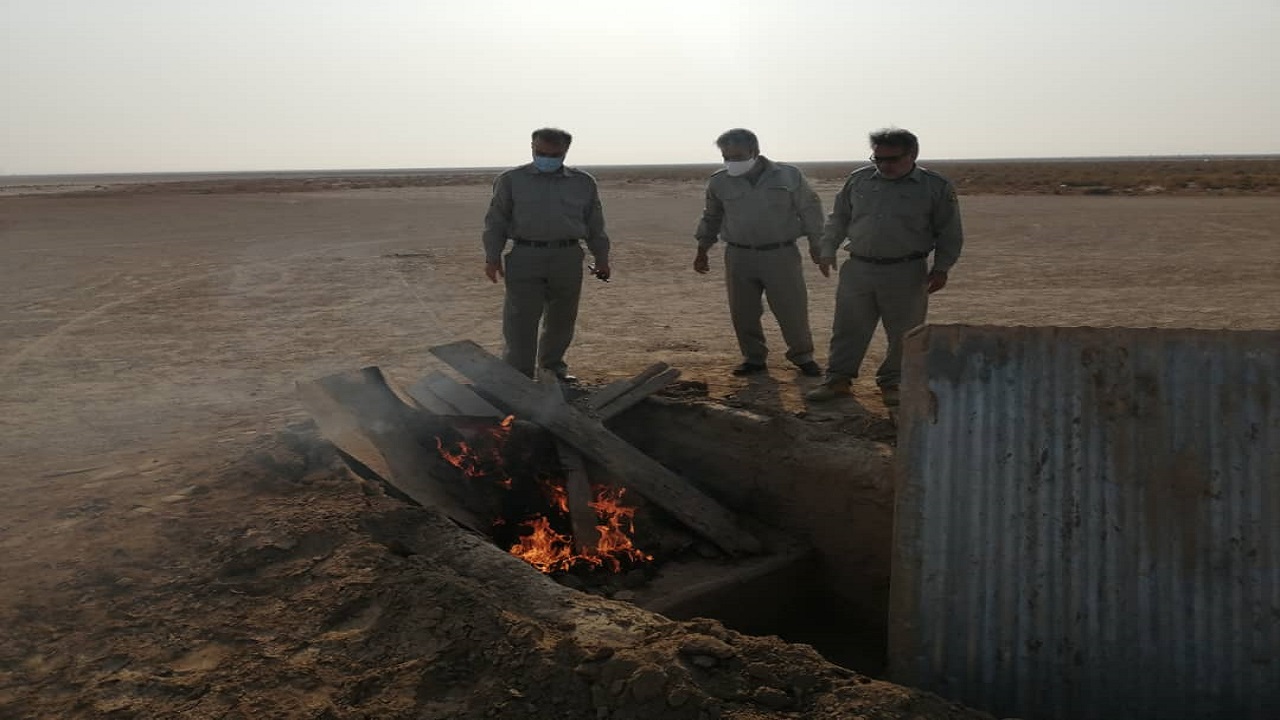 کشف و تخریب پنج کوخه در گناوه