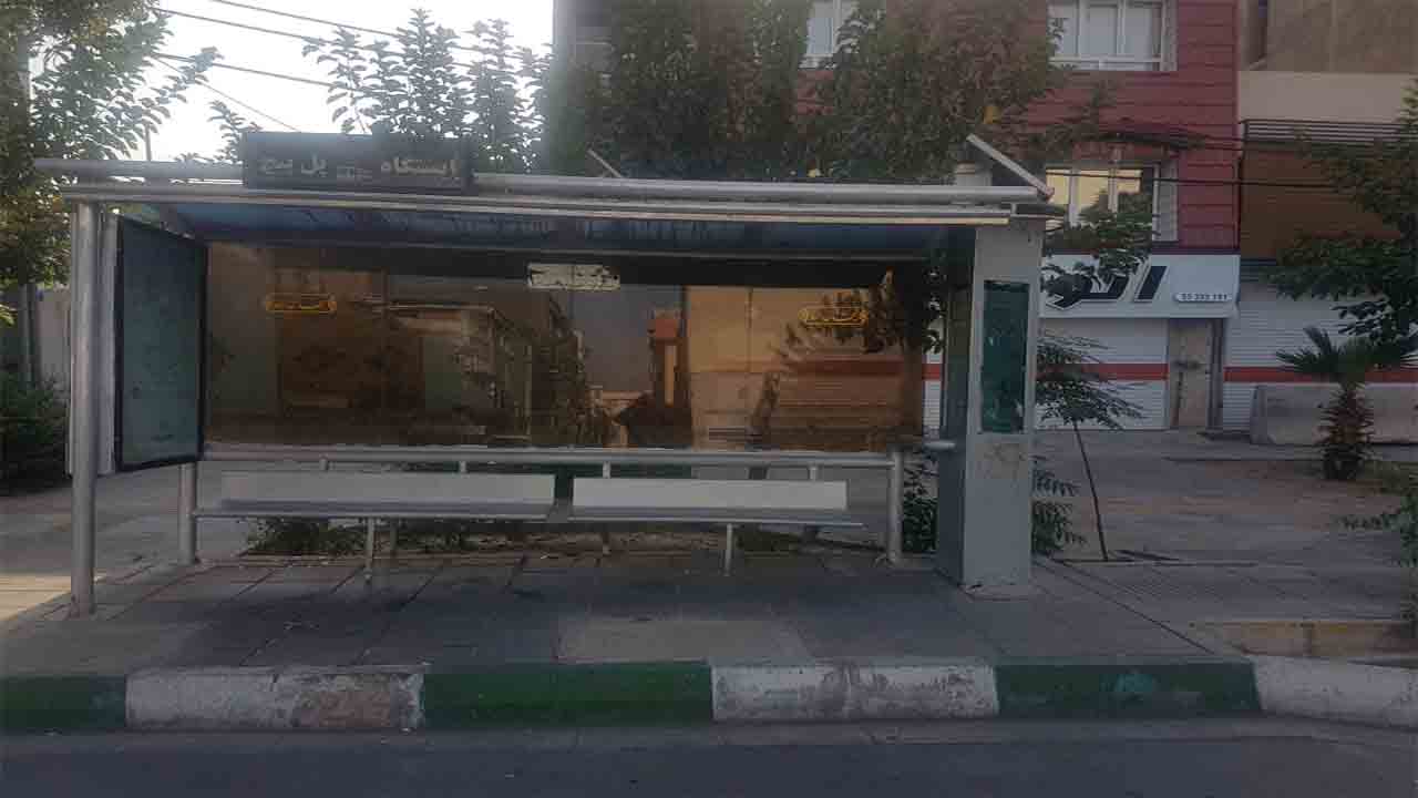 جای درختانی که به علت خشکیدگی قطع شده بودند، با سیمان پُر شد
