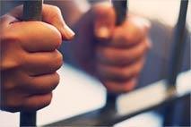 دستگیری ۲ سارق احشام حین انتقال دام‌های سرقتی در بدره