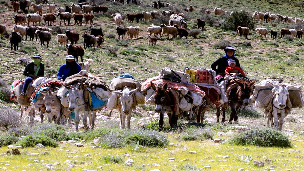 یک هزار و ۲۰۰ خانوار عشایری در مهاباد شناسایی شدند