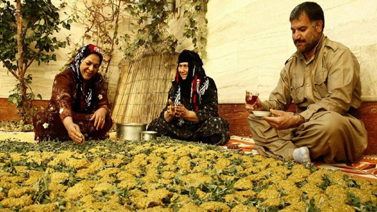 آشی خوش طعم با قدمت ۳ هزار سال پیش از میلاد مسیح در ایلام