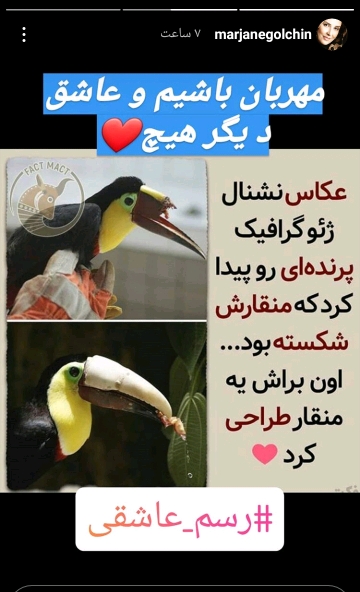 استوری مرجانه گلچین
