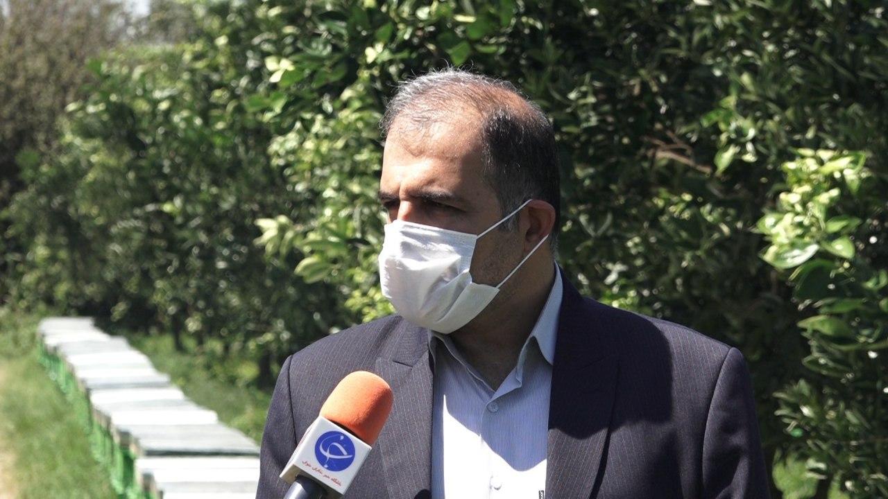 تلفات ۷۰ درصدی کنه واروا به زنبورستان‌ها