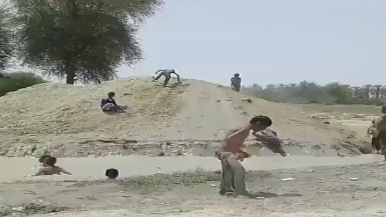 لذت شنا در آب گِل‌آلود! + فیلم