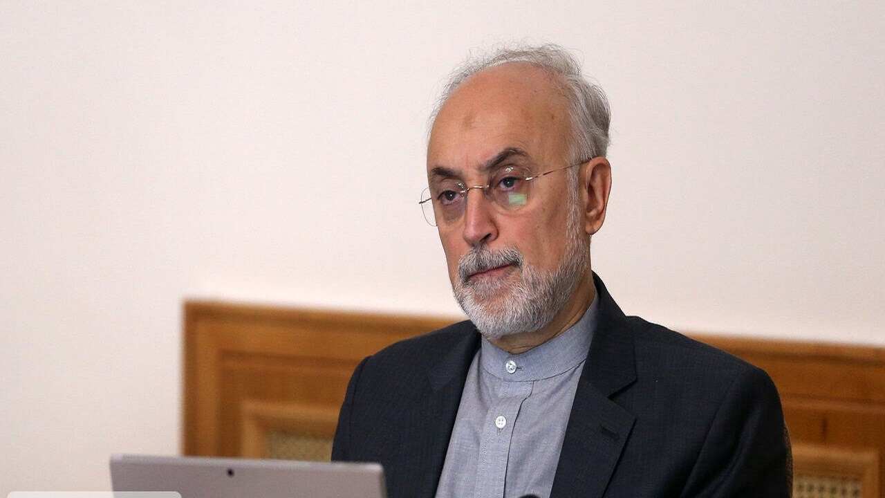 ایران توانایی تولید ایزوتوپ‌های پایدار را دارد