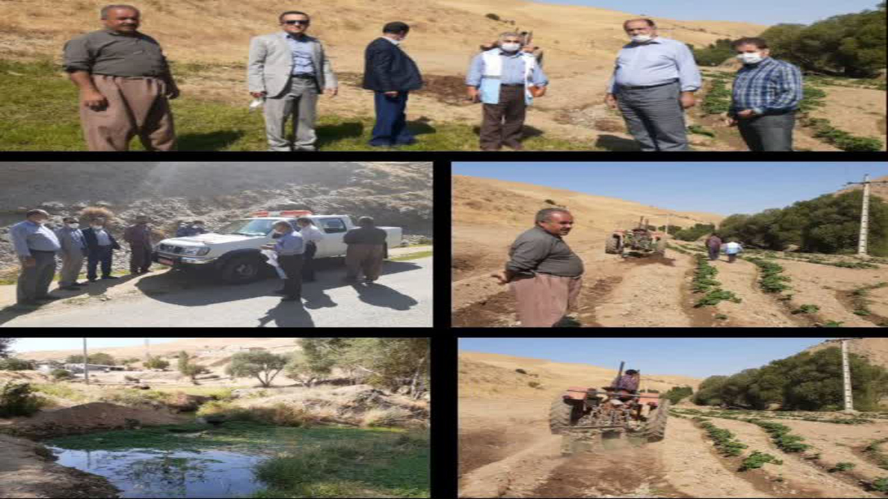 تخریب مزرعه صیفی با استفاده از آب فاضلاب در مهاباد