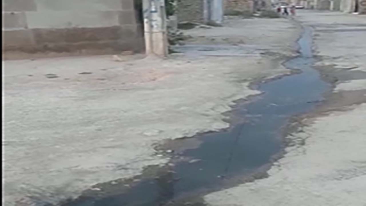 گلایه از بهداشت اسفناک معابر در شیراز + فیلم