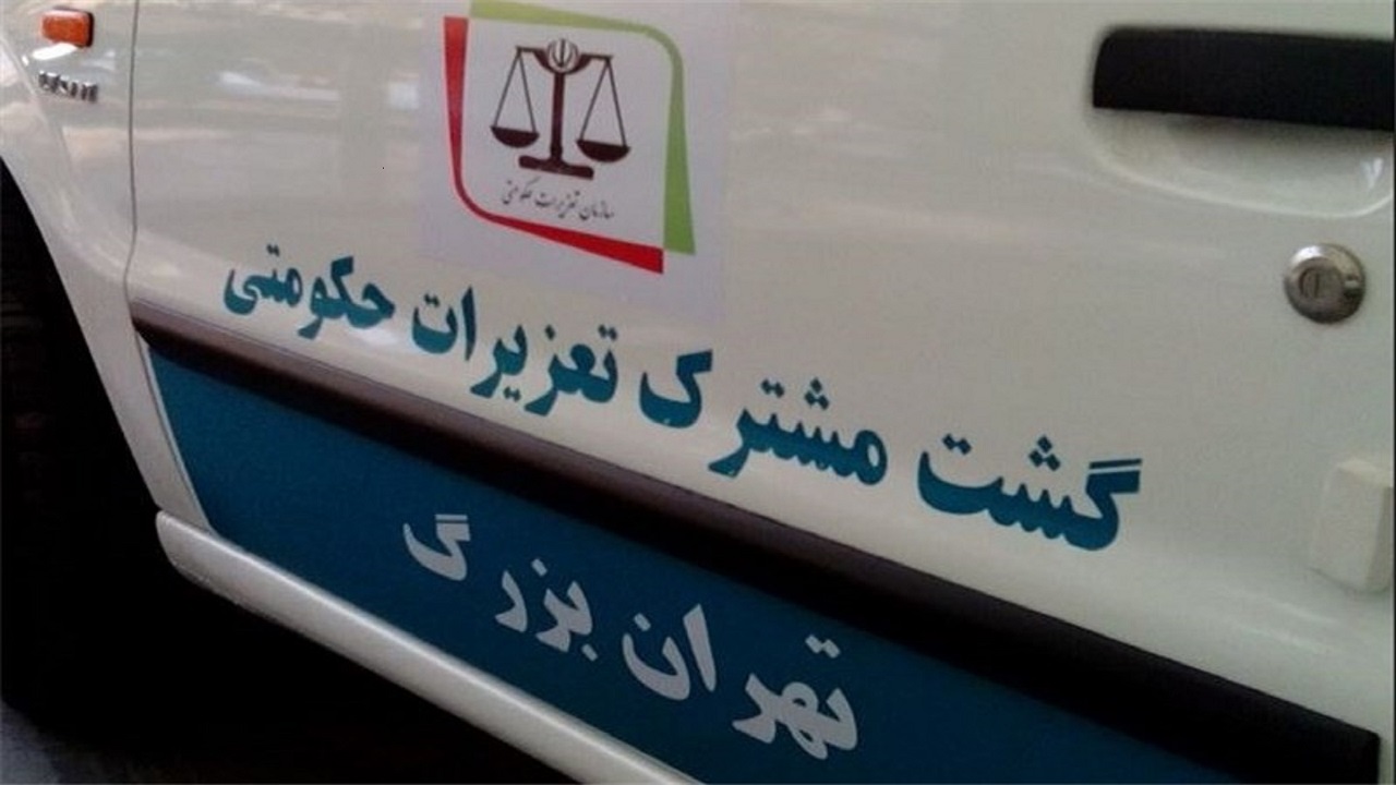 افزایش ۴ برابری گشت‌های مشترک تعزیرات در یک ماه