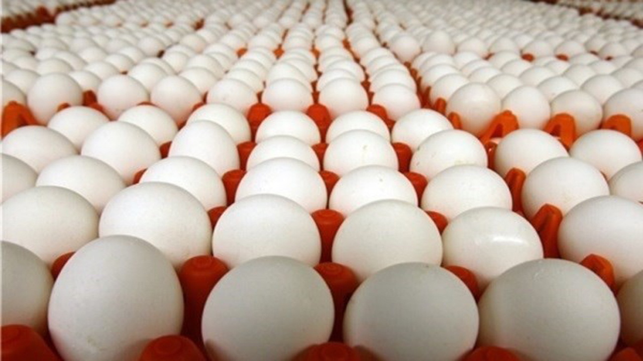 با خواص تخم مرغ آشنا شوید