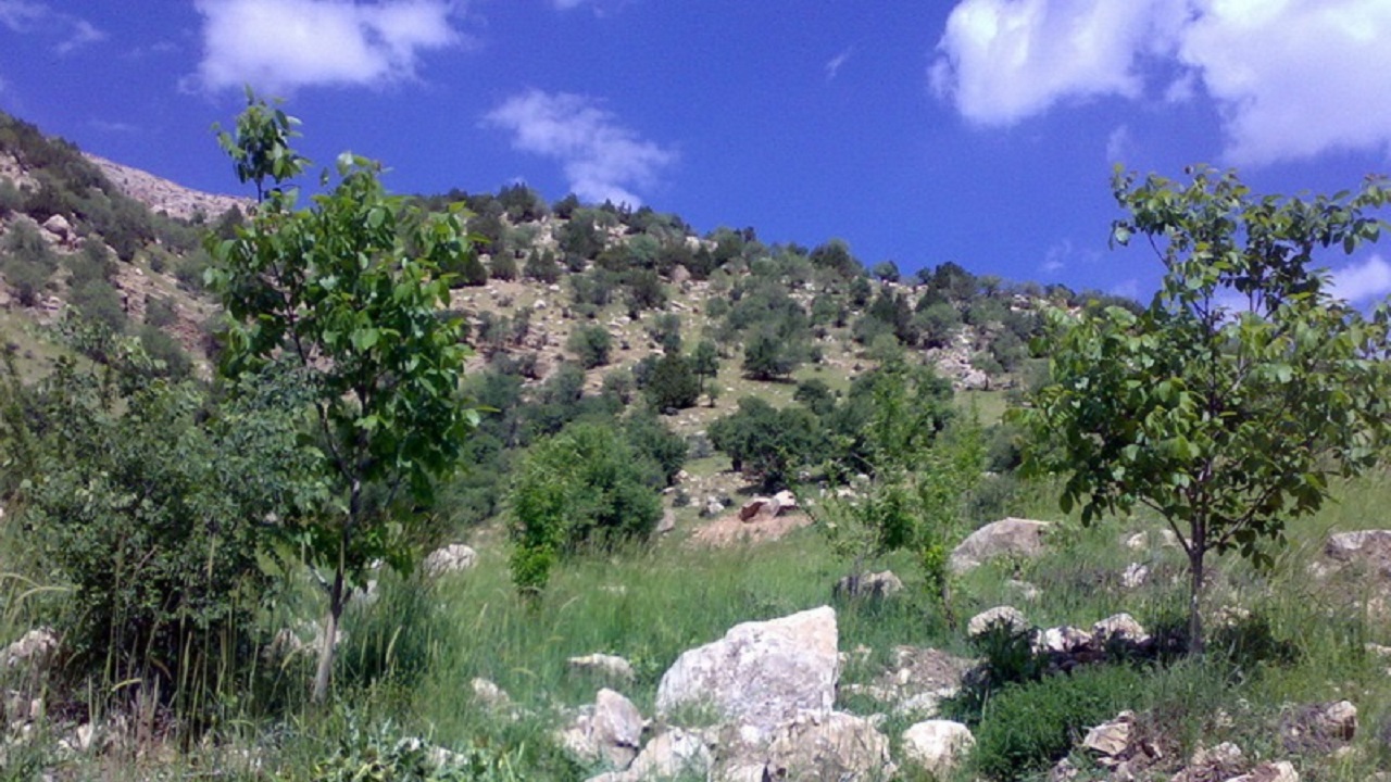 قرق ذخیره‌گاه جنگلی ارس در طالقان