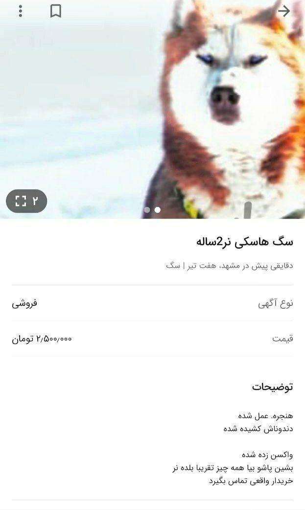 حیوان&zwnj; آزاری در ایران