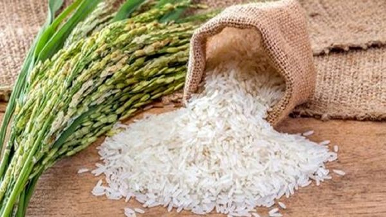 پیش بینی تولید ۲۲ هزار تن برنج در باغملک