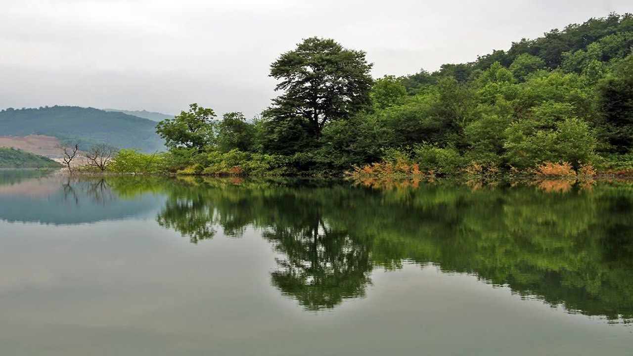 لفور کجاست؟+تصاویر