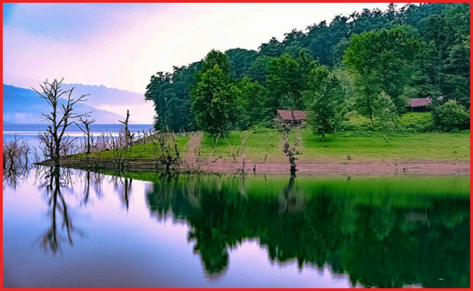 لفور کجاست؟+تصاویر