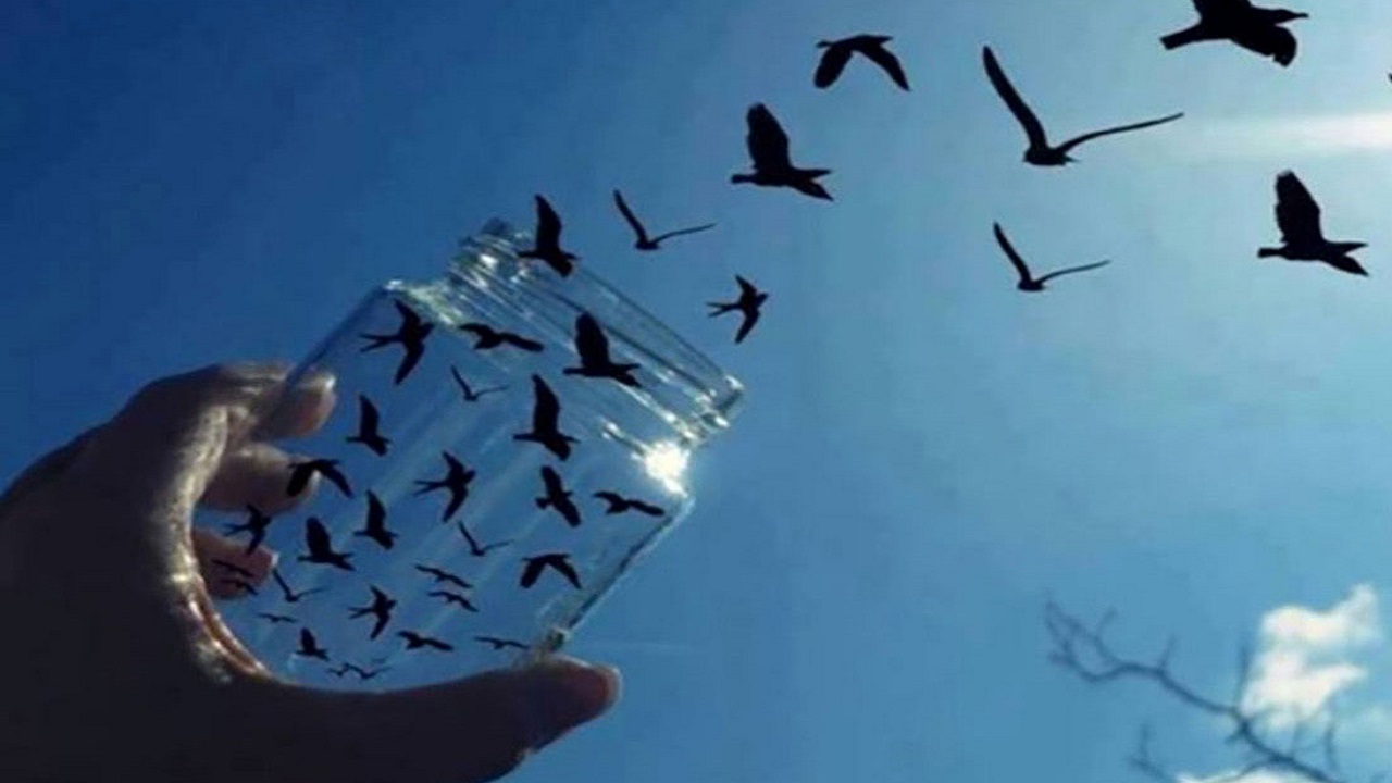 آزادی مردی که دوستش را سوزانده بود