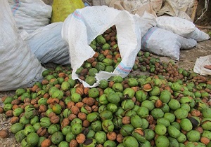 پیشرفت بهسازی و جدولگذاری در کوی زویه اهواز