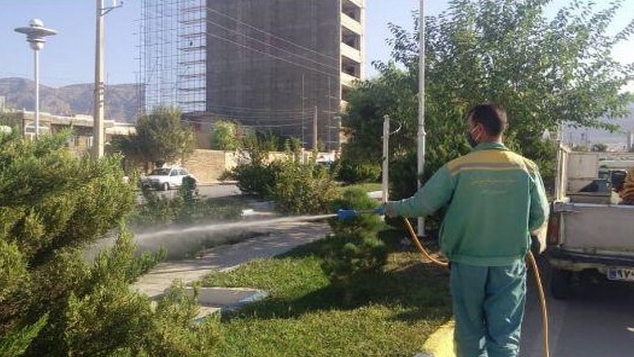سمپاشی بوته‌ها و درختان در سطح شهر ایلام