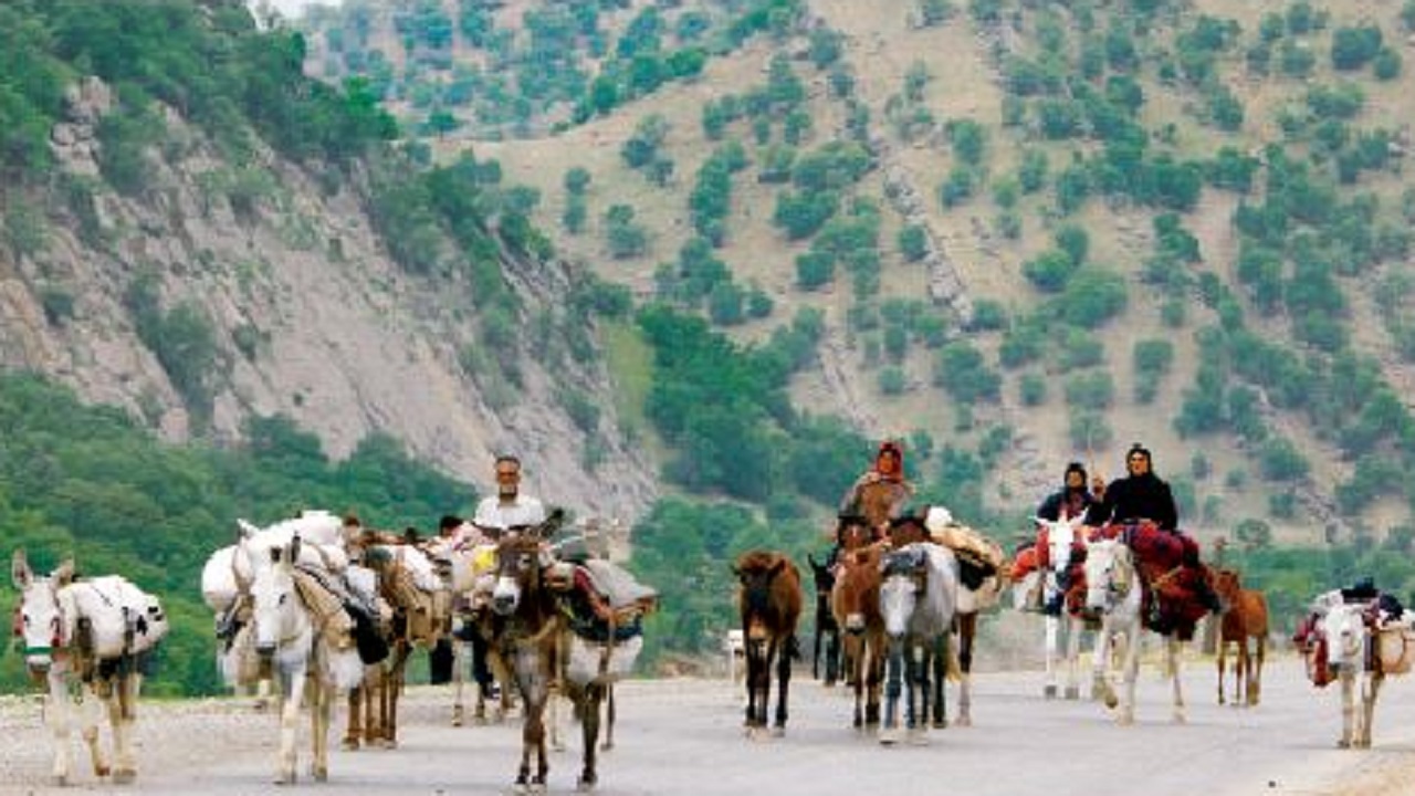 کوچ ۹۰ درصد عشایر چهارمحال و بختیاری به خوزستان