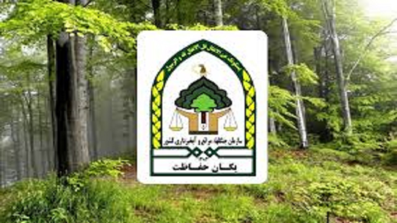 راه اندازی سامانه ۱۳۹ تلفن امداد و نجات جنگل و مرتع در چهارمحال و بختیاری