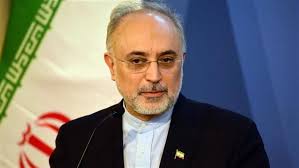 آژانس بین&zwnj;المللی انرژی اتمی درخواست دیگری از ایران ندارد