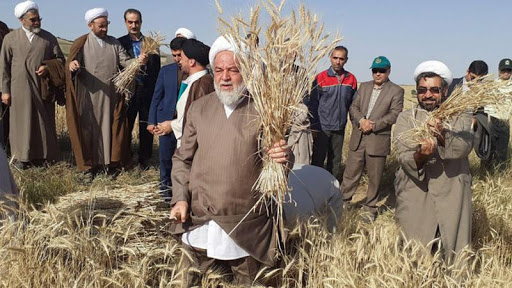 اینجا زمین&zwnj;ها مهربانند