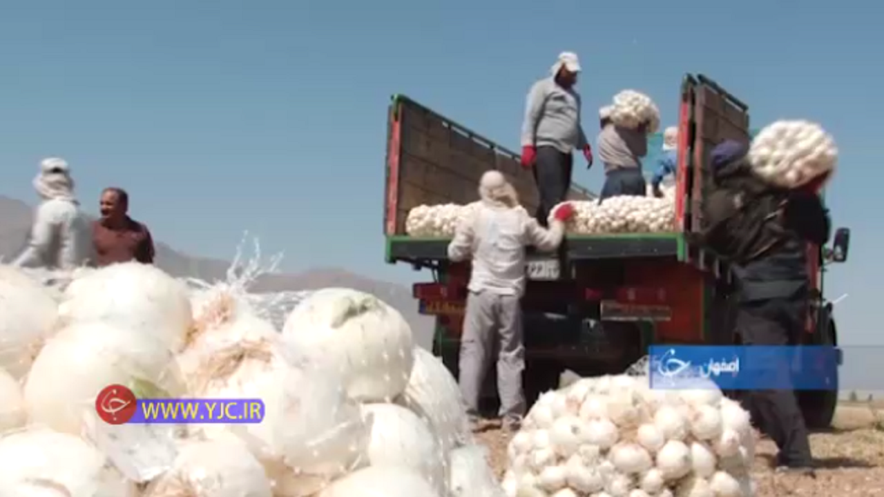 هر سیاه چادر عشایری یک کارگاه تولیدی +فیلم