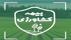 بیمه مزارع چهارمحال و بختیاری زارع چهارمحال و بختیاری بیمه شدند