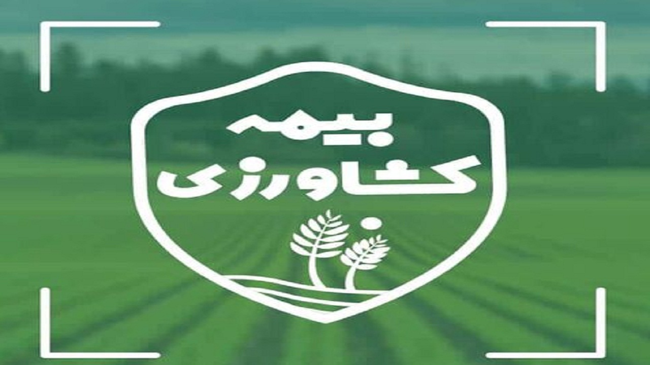 بیش از ۲۰۰ هزار هکتار از مزارع چهارمحال و بختیاری بیمه شدند