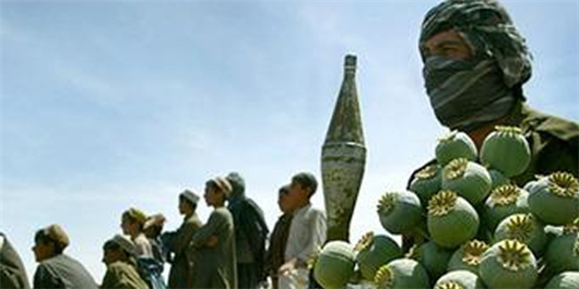 ناتو: درآمد سالانه‌ طالبان به ۱.۶ میلیارد دالر رسیده است
