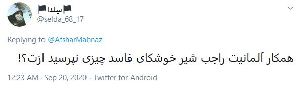 توئیت دروغین مهناز افشار