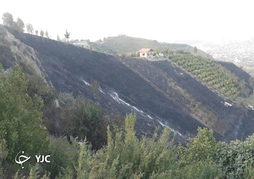 آتش سوزی مراتع