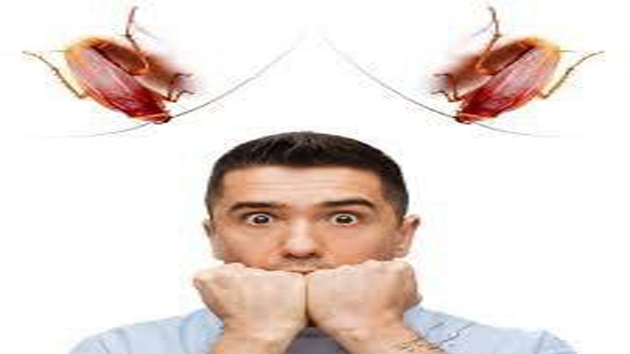 ترس از سوسک به چه علت بروز می‌کند؟