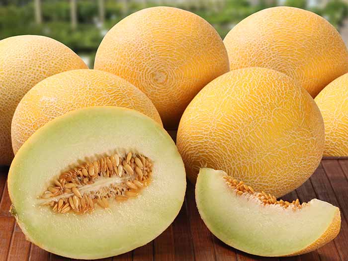 آب بدن خود را با مصرف این میوه تامین کنید
