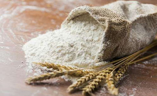کیسه آردهای حشره دار پای میز بازرسی