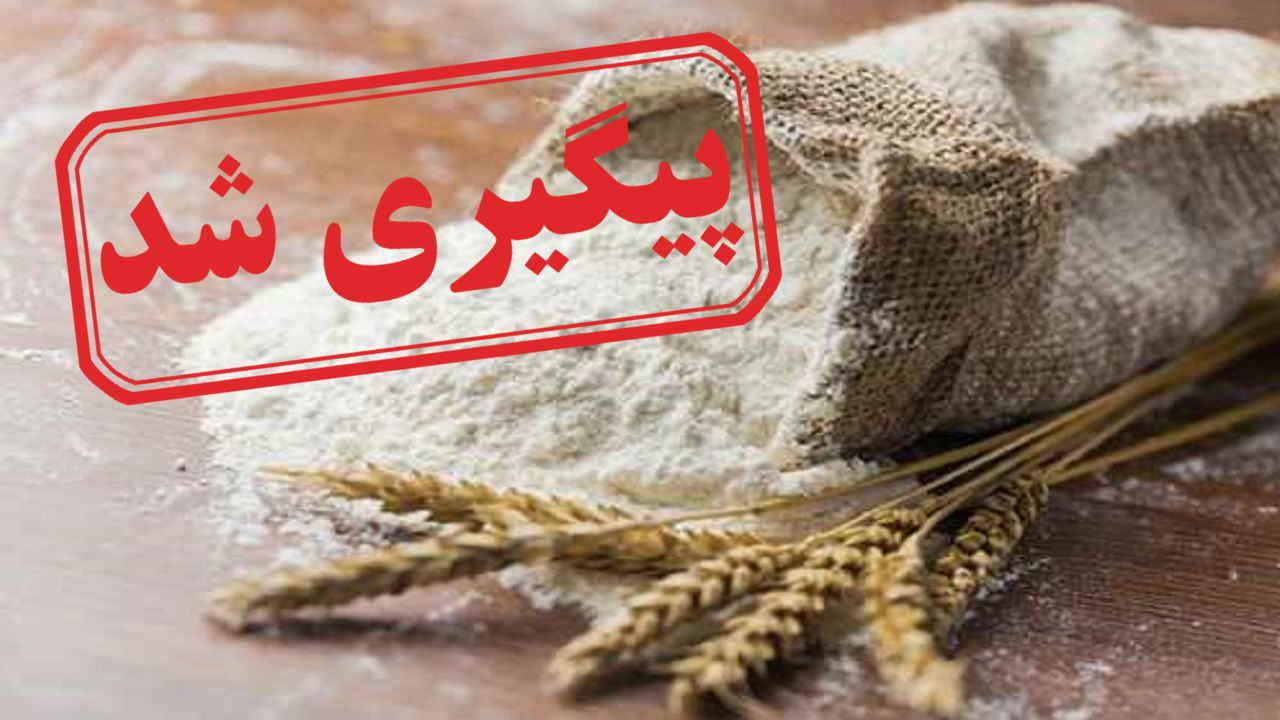 وجود حشرات در آرد تحویلی به نانوایی یکی از روستا‌های بندرانزلی! + نتیجه پیگیری