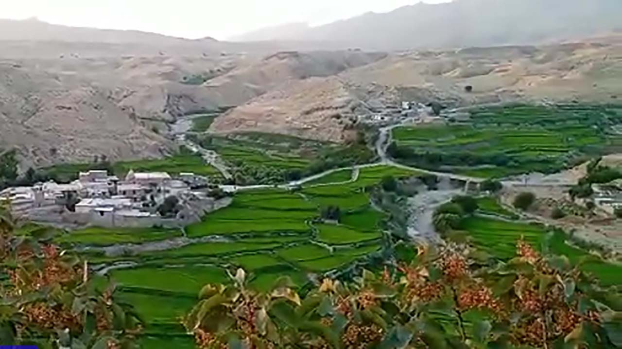 نمایی از طبیعت زیبا و جذاب در باغ‌ملک + فیلم