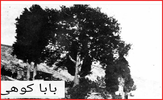عکس های قدیمی از شیراز ؛پایتخت فرهنگ و ادب ایران