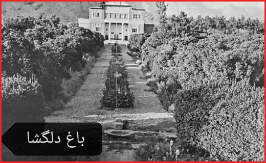 عکس های قدیمی از شیراز ؛پایتخت فرهنگ و ادب ایران
