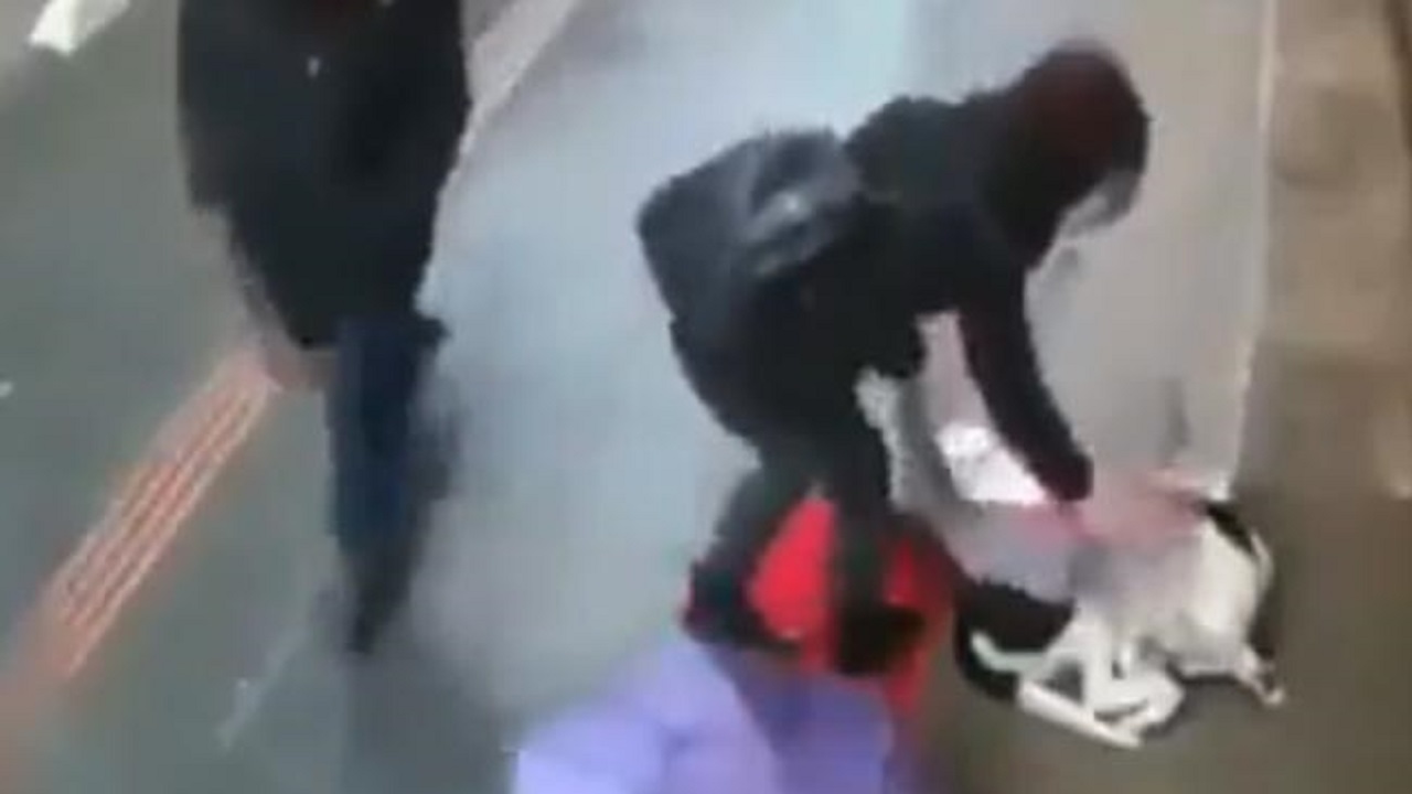 اقدام انسانی عابر پیاده در روز بارانی!