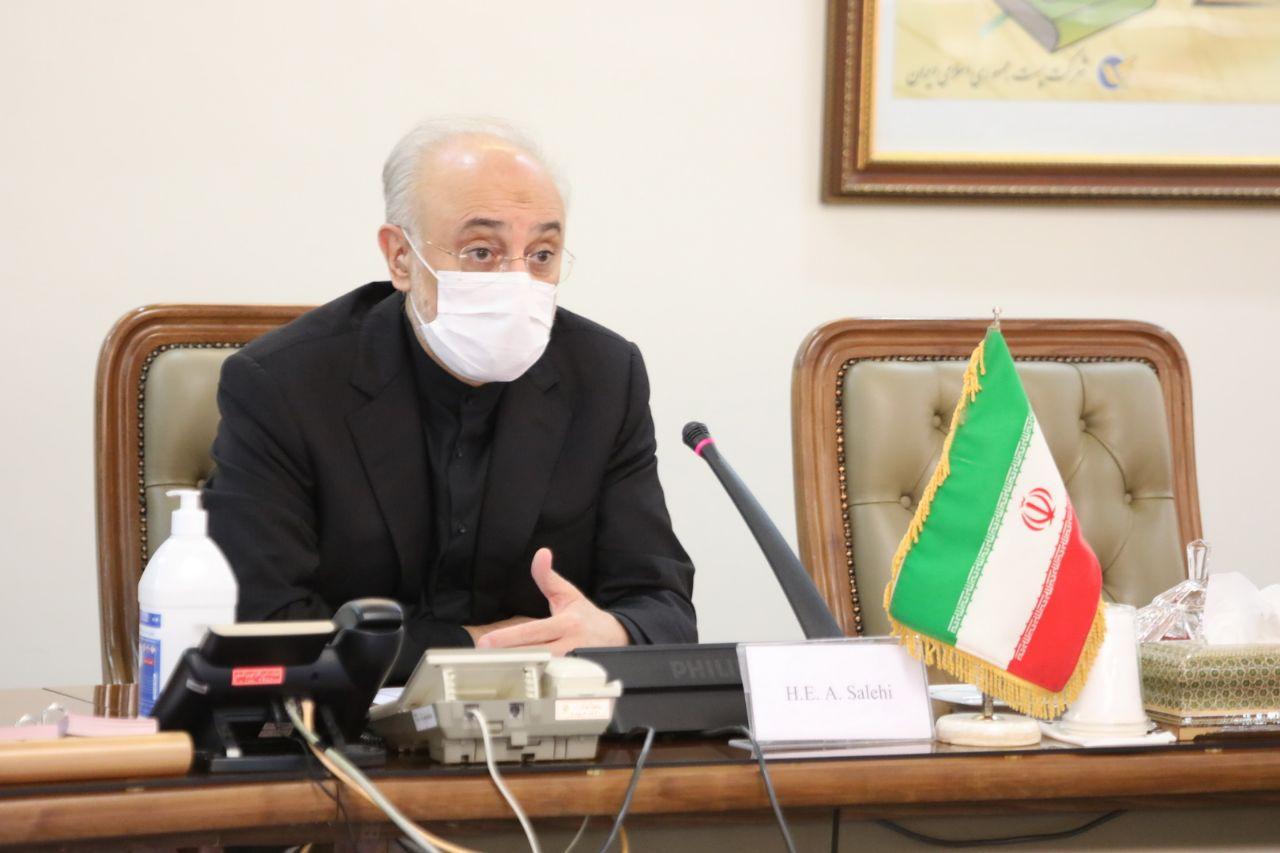 دیدار مدیرکل آژانس بین&zwnj;المللی انرژی اتمی با صالحی