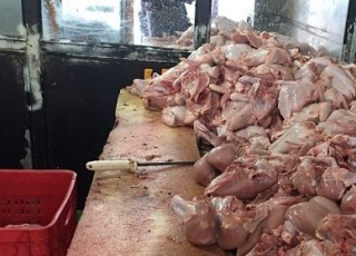جریمه 300 میلیون ریالی مرغ فروشی