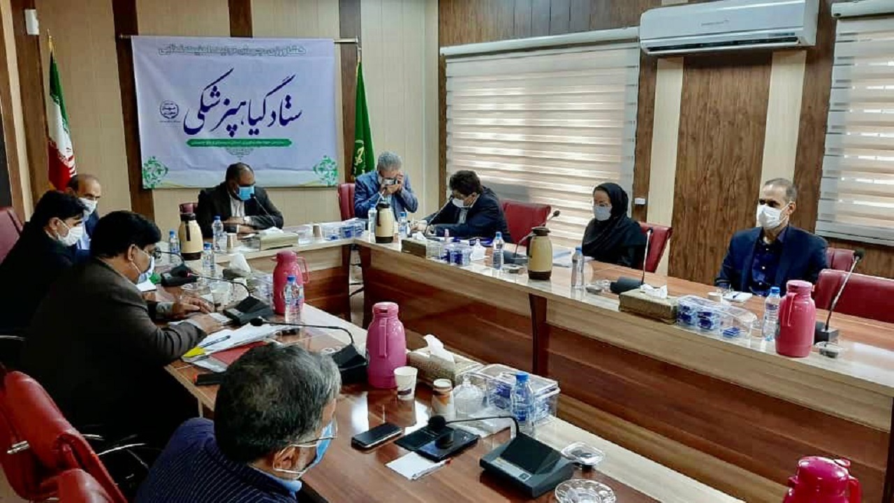 آغاز مبارزه با ملخ آسیایی در شهرستان هیرمند